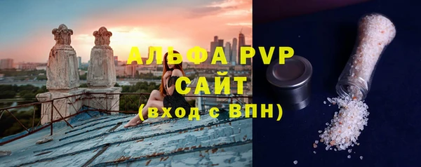 гашик Алексин
