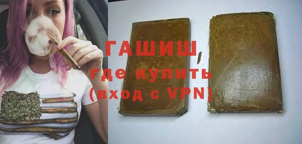 гашик Алексин