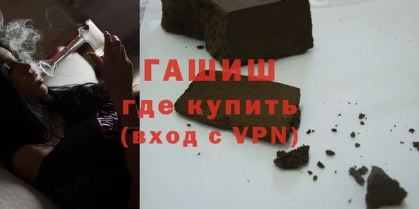 гашик Алексин