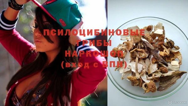 гашик Алексин