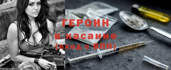 гашик Алексин