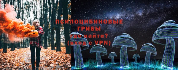 ешки Алзамай