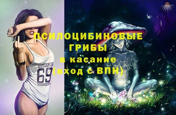 ешки Алзамай