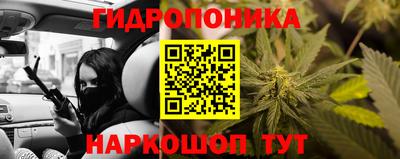 молекула духа Анжеро-Судженск
