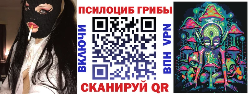 Галлюциногенные грибы Psilocybe Лобня