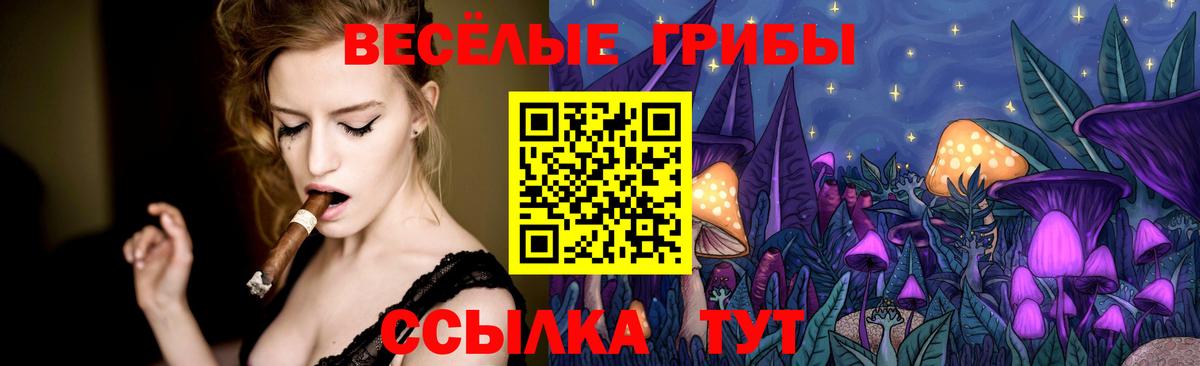 Псилоцибиновые грибы Psilocybe  Вход с VPN  закладки  Лобня 